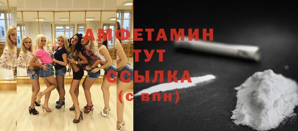 мдпв Рославль