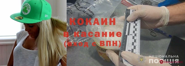 прущие грибы Россошь