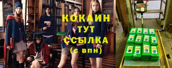 прущие грибы Россошь