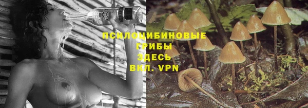первитин Белокуриха