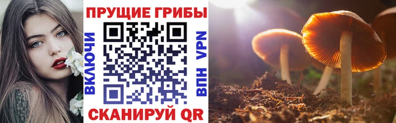 Галлюциногенные грибы GOLDEN TEACHER закладки Вельск